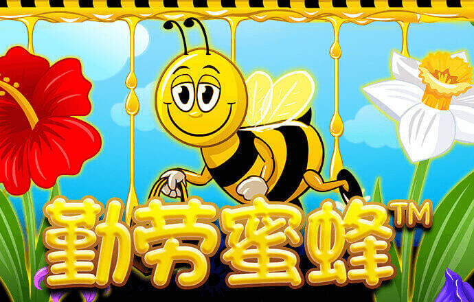 bob半岛平台体育下载
